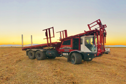 Biomass